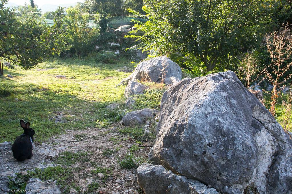 Agrotourism Matusko Guest House Neum Eksteriør bilde